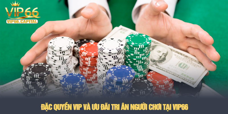 Khuyến mãi VIP66 - Tổng hợp ưu đãi bùng nổ nhất tại nhà cái 3 Đặc quyền VIP và ưu đãi tri ân người chơi tại VIP66