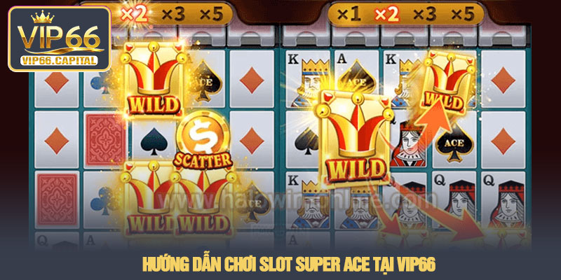 Slot Super Ace - Trải nghiệm slot tốc độ cao tại VIP66 3 Hướng dẫn chơi Slot Super Ace tại VIP66