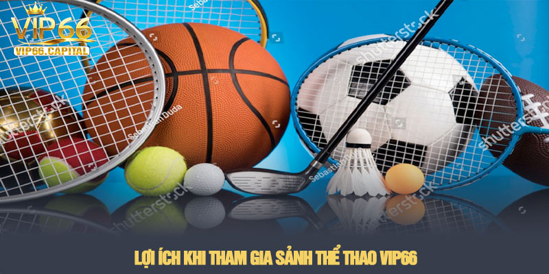 Thể thao VIP66 - Sảnh cá cược bóng đá kịch tính nhất 2026 4 Lợi ích khi tham gia sảnh Thể thao VIP66