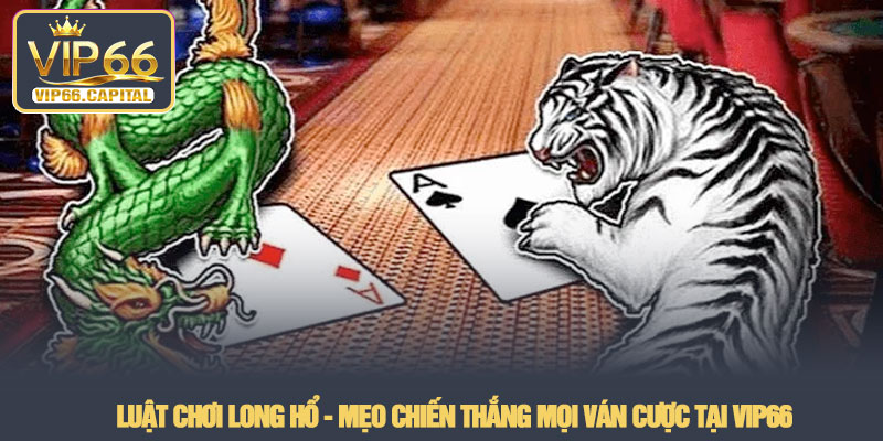 Luật chơi long hổ - Mẹo chiến thắng mọi ván cược tại VIP66 3 Luật chơi long hổ - Mẹo chiến thắng mọi ván cược tại VIP66