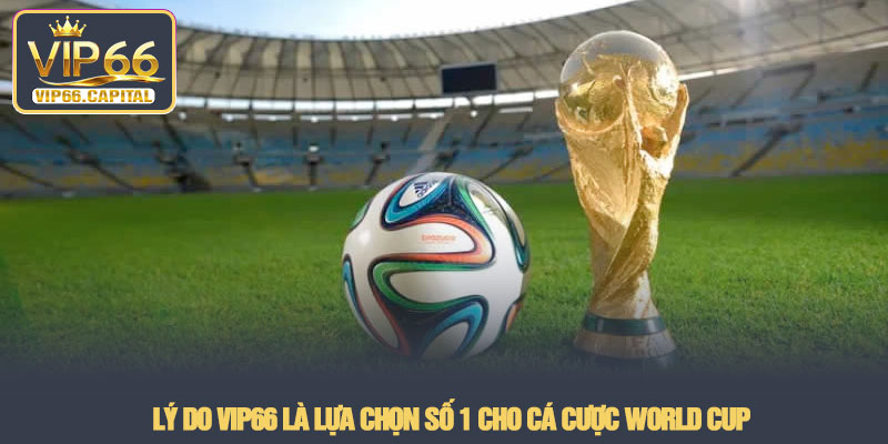 World Cup - Đỉnh cao cá cược bóng đá thế giới tại VIP66 4 Lý do VIP66 là lựa chọn số 1 cho cá cược World Cup