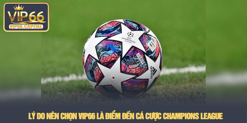 Champions League - Sân chơi cá cược C1 đỉnh cao tại VIP66 4 Lý do nên chọn VIP66 là điểm đến cá cược Champions League
