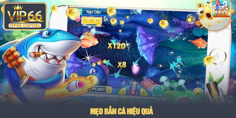 Bắn cá đổi thưởng - Trải nghiệm săn xu thực tế tại VIP66 3 Mẹo bắn cá hiệu quả