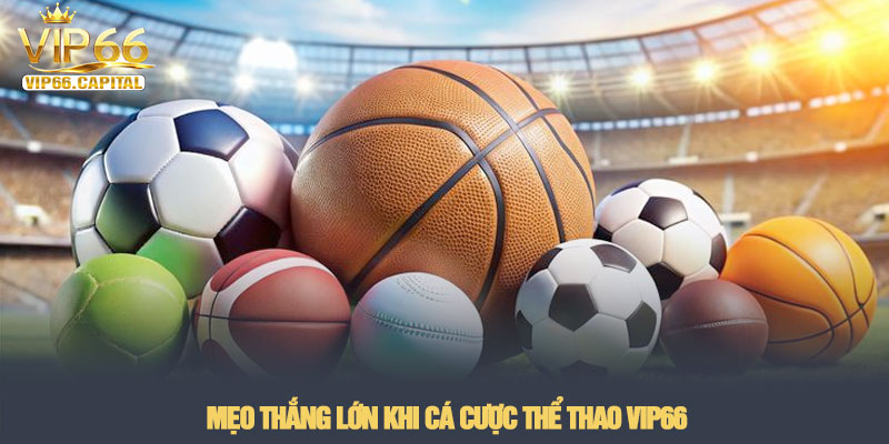 Thể thao VIP66 - Sảnh cá cược bóng đá kịch tính nhất 2026 3 Mẹo thắng lớn khi cá cược Thể thao VIP66