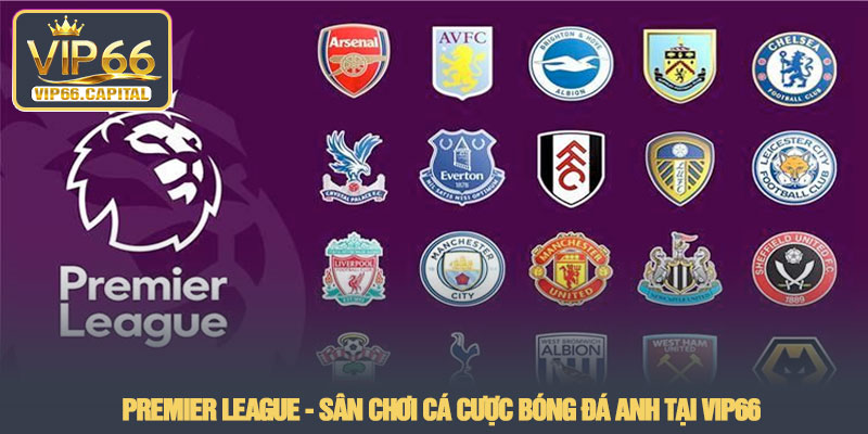 Premier League - Sân chơi cá cược bóng đá Anh tại VIP66 8 Premier League - Sân chơi cá cược bóng đá Anh tại VIP66