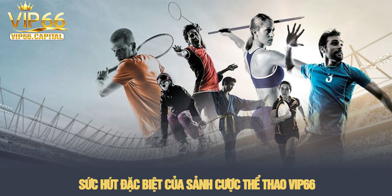 Thể thao VIP66 - Sảnh cá cược bóng đá kịch tính nhất 2026 2 Sức hút đặc biệt của sảnh cược Thể thao VIP66