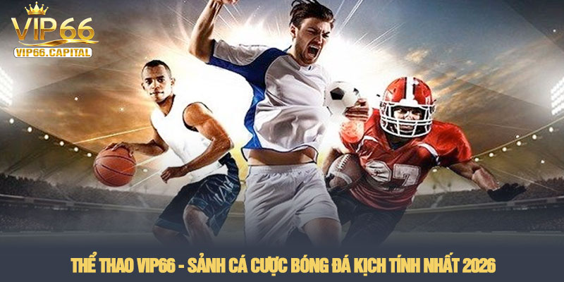 Thể thao VIP66 - Sảnh cá cược bóng đá kịch tính nhất 2026 1 Thể thao VIP66 - Sảnh cá cược bóng đá kịch tính nhất 2026