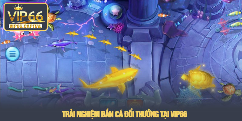 Bắn cá đổi thưởng - Trải nghiệm săn xu thực tế tại VIP66 4 Trải nghiệm Bắn cá đổi thưởng tại VIP66