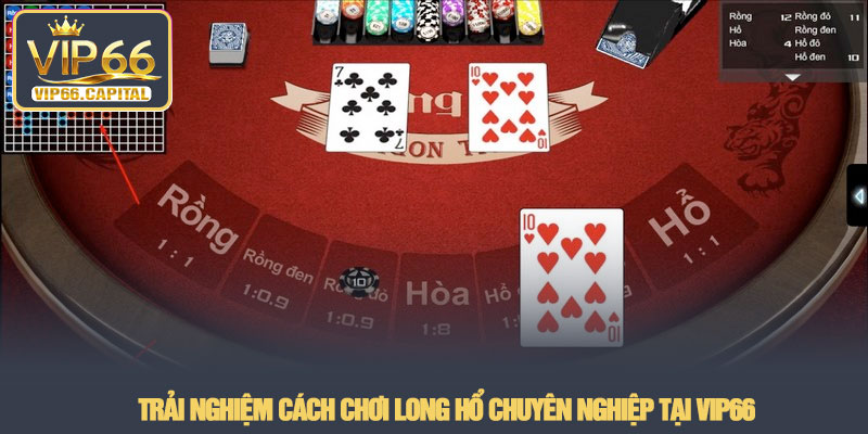 Luật chơi long hổ - Mẹo chiến thắng mọi ván cược tại VIP66 4 Trải nghiệm cách chơi Long Hổ chuyên nghiệp tại VIP66