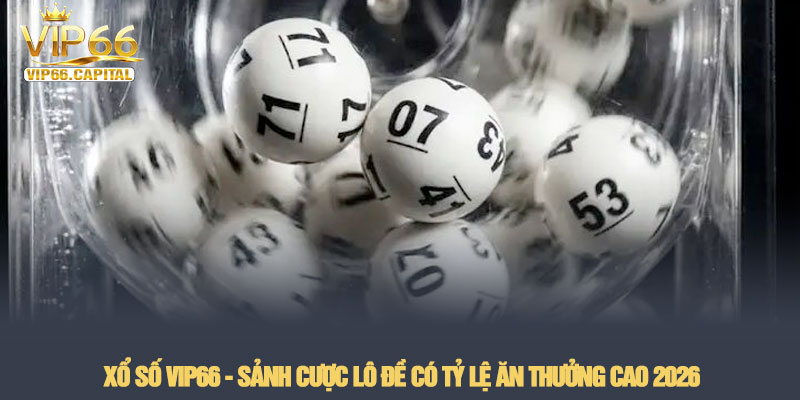 Xổ số VIP66 - Sảnh cược lô đề có tỷ lệ ăn thưởng cao 2026 1 Xổ số VIP66 - Sảnh cược lô đề có tỷ lệ ăn thưởng cao 2026