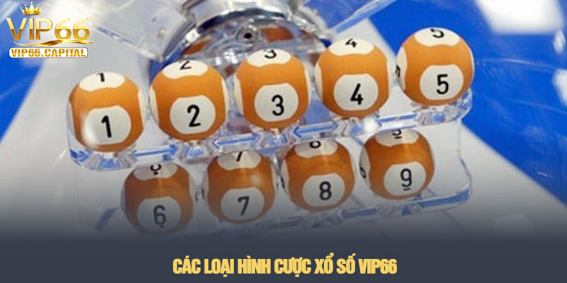Xổ số VIP66 - Sảnh cược lô đề có tỷ lệ ăn thưởng cao 2026 2 Các loại hình cược Xổ số VIP66