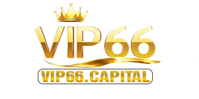 vip66capital